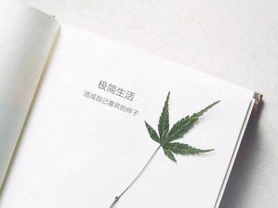 ​二手网有哪些平台（闲置品太多别急着扔！这5个二手平台可以快速回血）