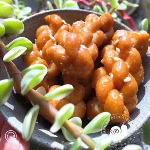 ​义乌特产，红糖麻花我的最爱