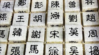 ​中国姓氏智商排名（世界上智商最高的姓氏）
