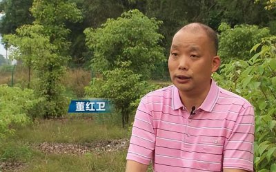 ​一年亩收入5万的药材（一年亩收入5万的药材壮阳）