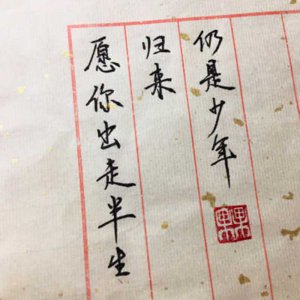 ​归来仍是少年的上一句（）“愿你出走半生，归来仍是少年”成网络名句，其实苏