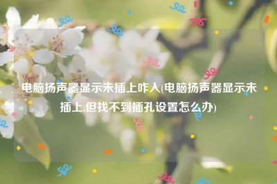 ​电脑扬声器显示未插上咋入(电脑扬声器显示未插上,但找不到插孔设置怎么办)