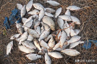 ​野钓最实用调漂方法 ，走漂闹小鱼，这招很管用