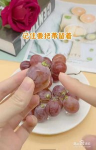 ​将葡萄放在小洞里榨汁(将葡萄放在小洞里榨汁的视频)