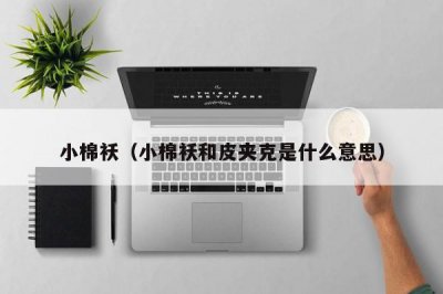 ​小棉袄（小棉袄和皮夹克是什么意思）