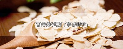 ​西洋参过期了还能泡水喝吗有毒吗 西洋参过期了还能泡水喝吗百度百科