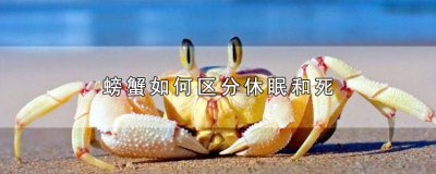 ​螃蟹断足保命 养的螃蟹怎么会断脚