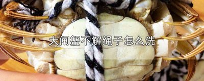 ​螃蟹洗要解绳子吗 清洗螃蟹绳子要解开绳子吗