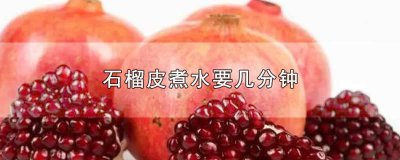 ​石榴皮熬水熬多久 新鲜石榴皮煮水怎么煮