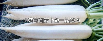 ​山药能与白萝卜一起吃吗 山药与白萝卜可以一起吃吗?
