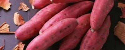 ​山楂和红薯能同时吃吗[红薯和山楂可以同时吃吗]