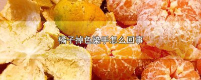 ​橘子掉色咋回事啊 橘子掉色咋回事儿