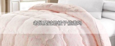 ​老鼠爬过的被子能盖吗有毒吗图片 老鼠爬过的被子能盖吗有毒吗会传染吗