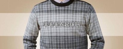 ​美丽诺羊毛毛衣起球吗 百分百羊毛毛衣起球吗