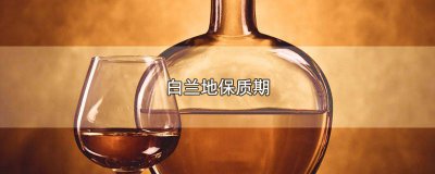 ​张裕金奖白兰地保质期 轩尼诗vsop干邑白兰地保质期
