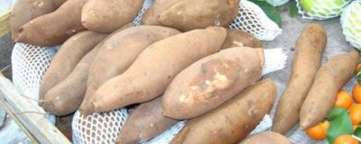 ​白薯鸡蛋可以一起吃吗小孩可以吃吗[婴儿白薯和鸡蛋可以一起吃吗]