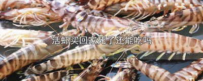 ​买的时候活的 回家虾死了可以吃吗有毒吗 买的时候活的 回家虾死了可以吃吗视频