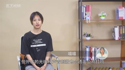 ​公鸡打鸣时间准确吗图片 公鸡打鸣什么时间