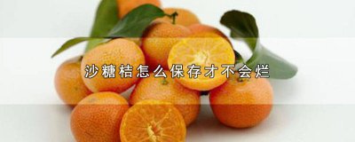 ​沙糖桔容易烂吗 沙糖桔为什么容易坏