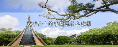 ​微信双手合十的手势是什么意思 抖音里双手合十的手势是什么意思