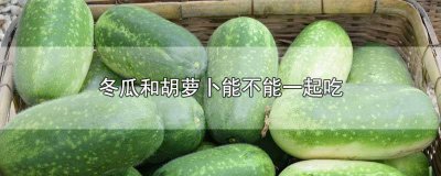 ​冬瓜和胡萝卜能不能一起吃