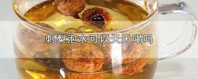 ​刺梨泡水可以天天喝吗女生 刺梨能不能天天泡水喝