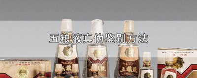 ​五粮液(天地盖)2003年52度 五粮液天地盖鉴定