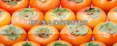 ​柿子不能冷藏吗 柿子可以冷藏保存吗