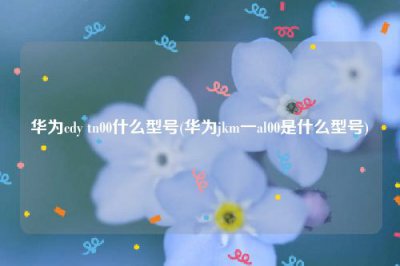 ​华为cdy tn00什么型号(华为jkm一al00是什么型号)
