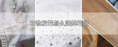 ​怎么洗衣服的霉斑 衣服的霉斑怎么清洗