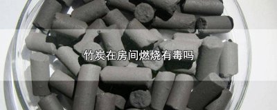 ​竹炭点燃会不会中毒 竹炭放房间里对身体有影响吗
