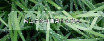 ​常说的割韭菜是什么意思 割韭菜是啥意思?