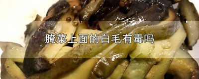 ​腌制的白菜有毒吗 腌菜上有白花还能吃吗