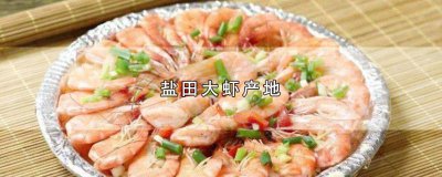 ​盐田大虾产地电话 盐田大虾介绍
