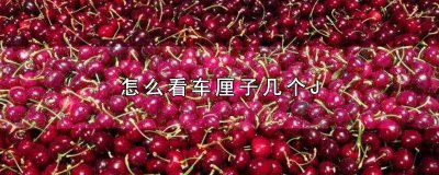 ​怎么看车厘子几个j 怎么看车厘子几个勾