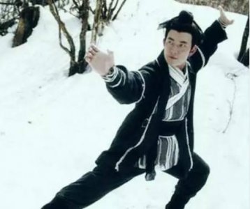 ​演过杨过的男演员有哪些(演过杨过的男演员)