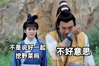 ​陈浩民回应全网热议王宝钏挖野菜：体脂应该很低吧