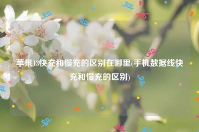 ​苹果13快充和慢充的区别在哪里(手机数据线快充和慢充的区别)