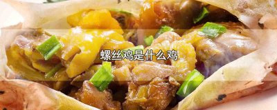 ​螺丝鸡是什么鸡 螺丝鸡是什么鸡做的