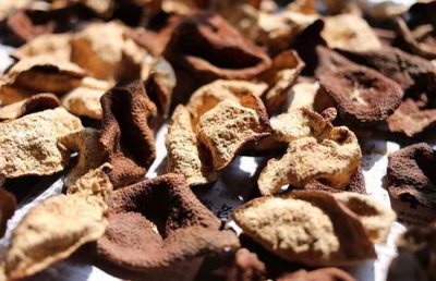 ​陈皮的功效与作用禁忌人群 陈皮的功效与作用适合哪些人