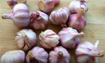​用盐直接腌制大蒜的正确方法（泡大蒜的腌制方法和配料）