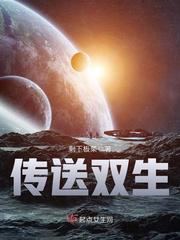 《传送双生》小说封面