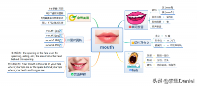 ​嘴英文怎么读（嘴英文怎么读怎么写）