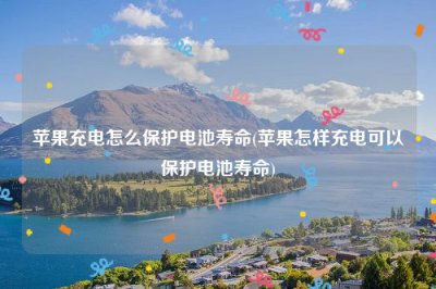 ​苹果充电怎么保护电池寿命(苹果怎样充电可以保护电池寿命)