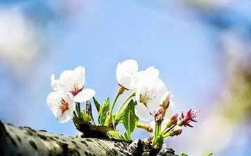 算阳寿绝招有哪些 算人的死期准的吓死人