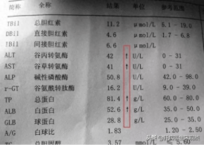 ​肝功中白蛋白、球蛋白分别表示什么意思？有何临床意义，一文详知