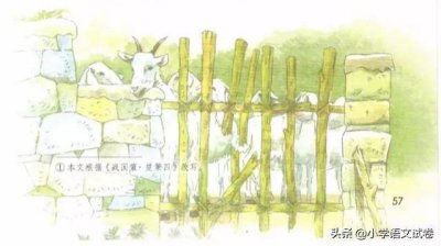 ​亡羊补牢揠苗助长的事例吗 亡羊补牢揠苗助长的寓意是什么