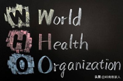 ​世界卫生组织是个什么组织？谁有资格加入？