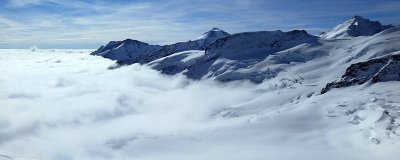 ​从雪的寓意 雪的意象是什么