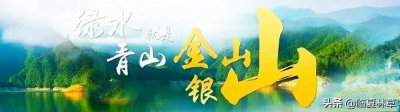 ​芍药花竞相开放 芍药芬芳